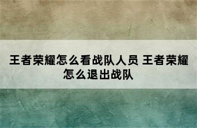 王者荣耀怎么看战队人员 王者荣耀怎么退出战队